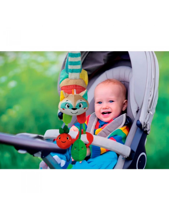 Mapache peluche actividades