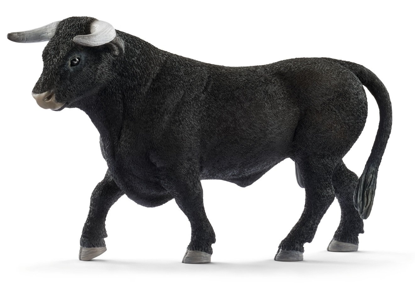 Toro Negro