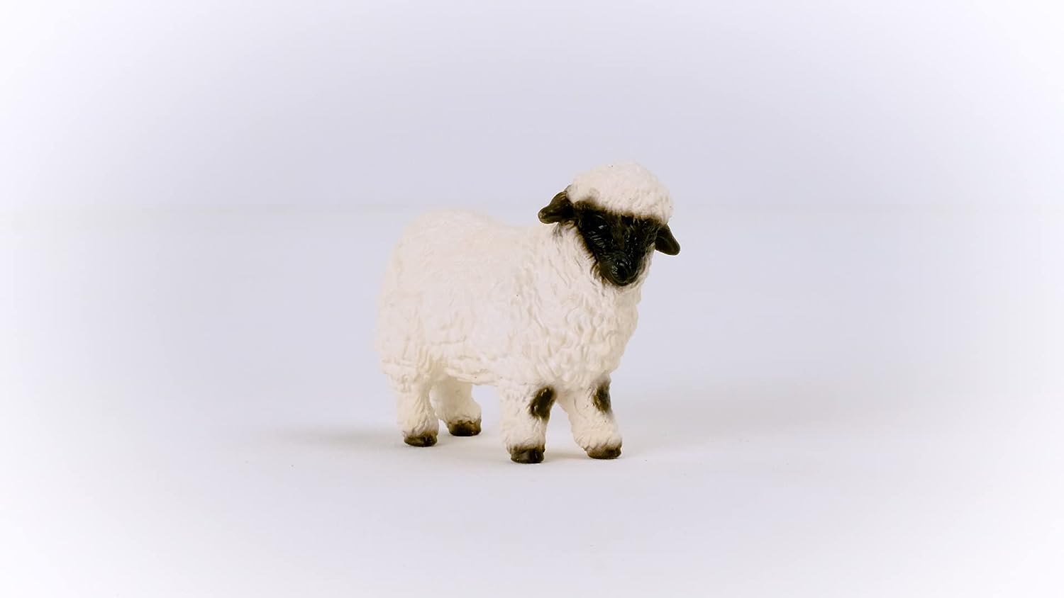 Oveja de nariz negra de Valais