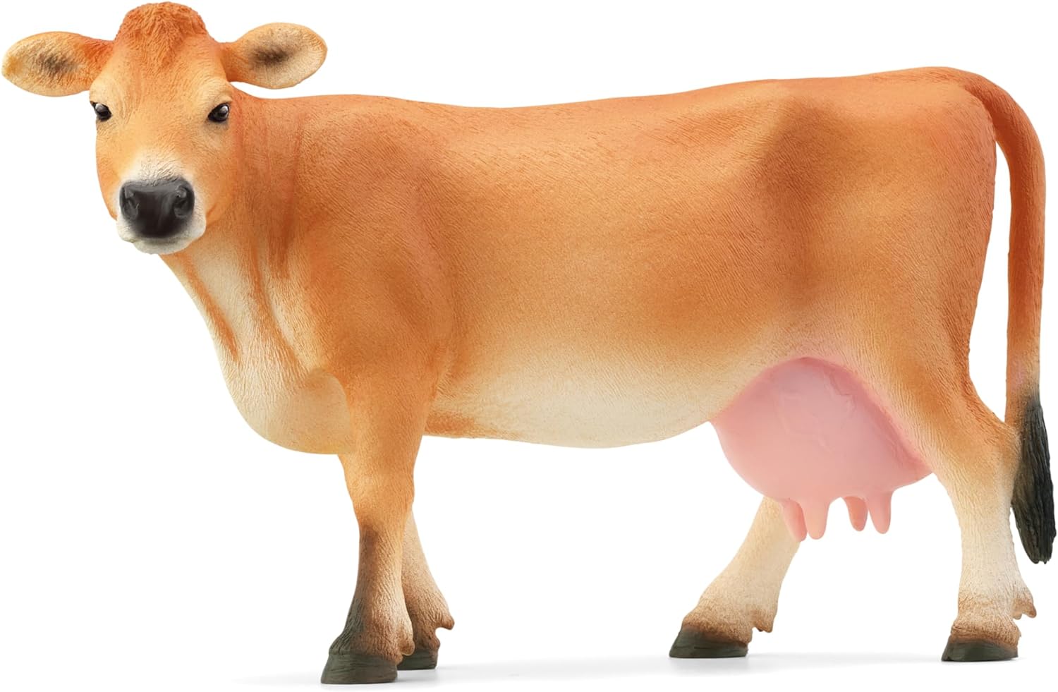 Vaca Jersey