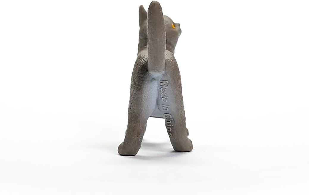 Gato Británico de pelo corto
