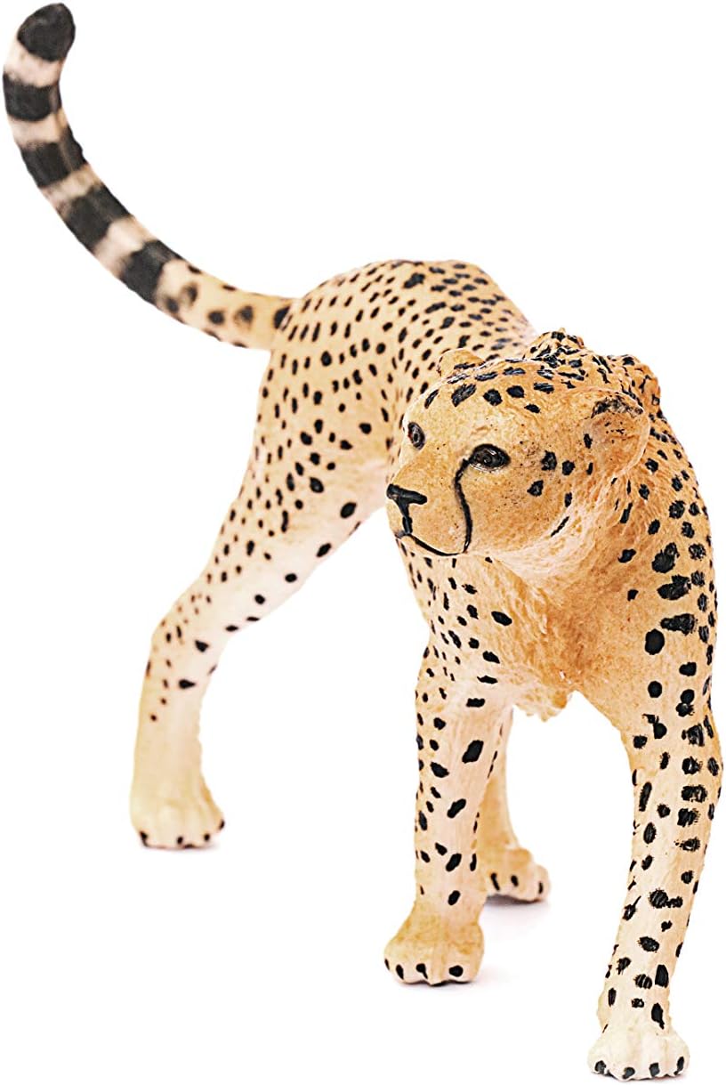 Guepardo Hembra