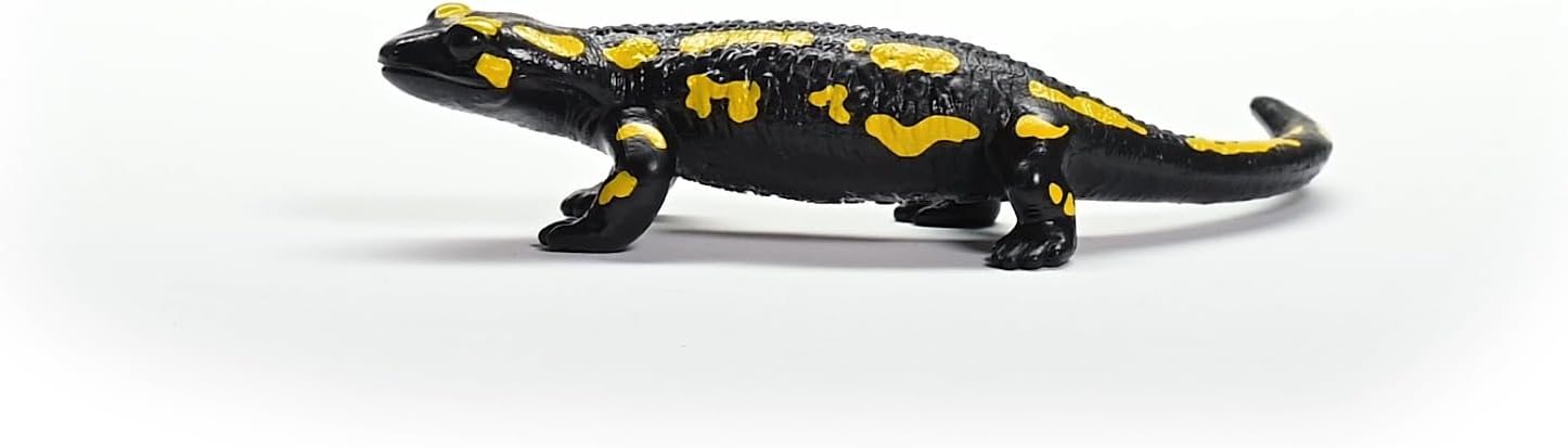 Salamandra