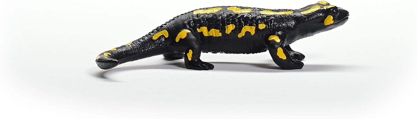 Salamandra