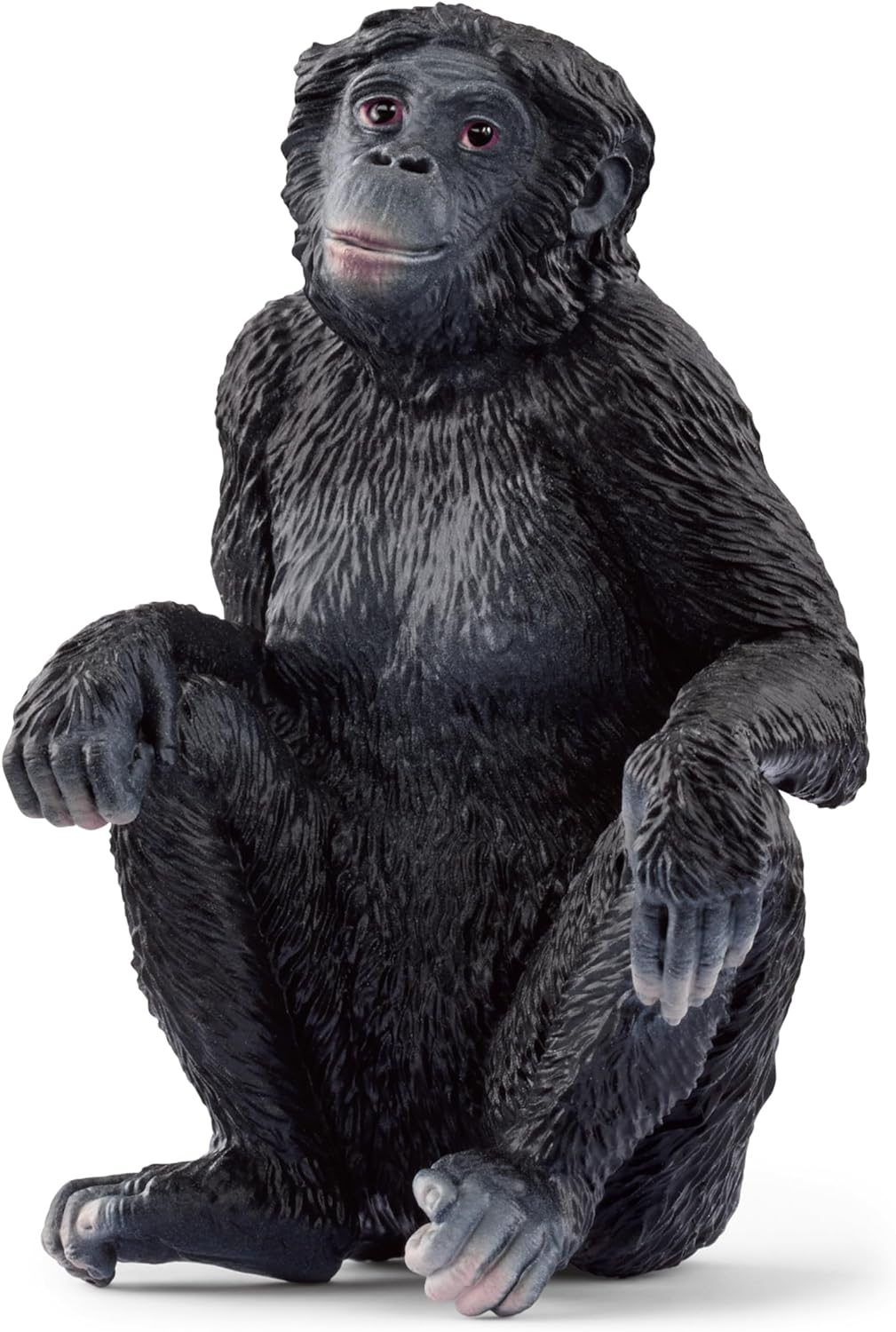 Bonobo hembra
