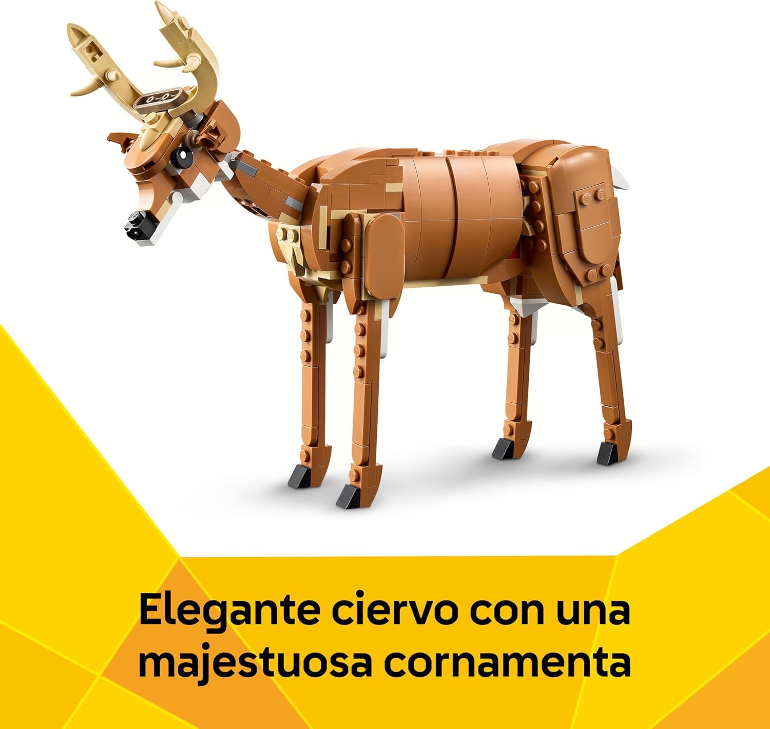 Caballo Noble