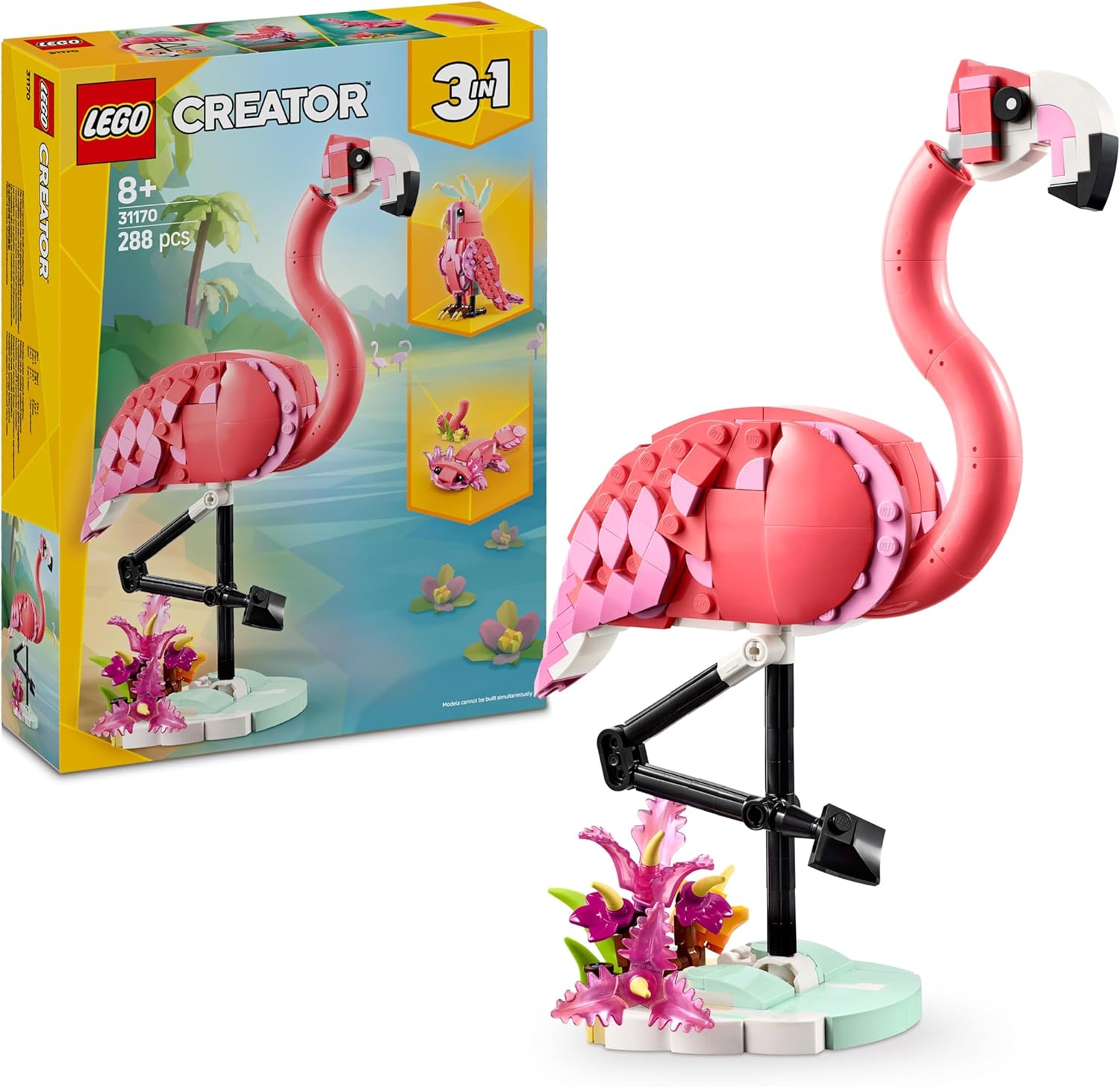 Fauna Salvaje: Flamenco Rosa