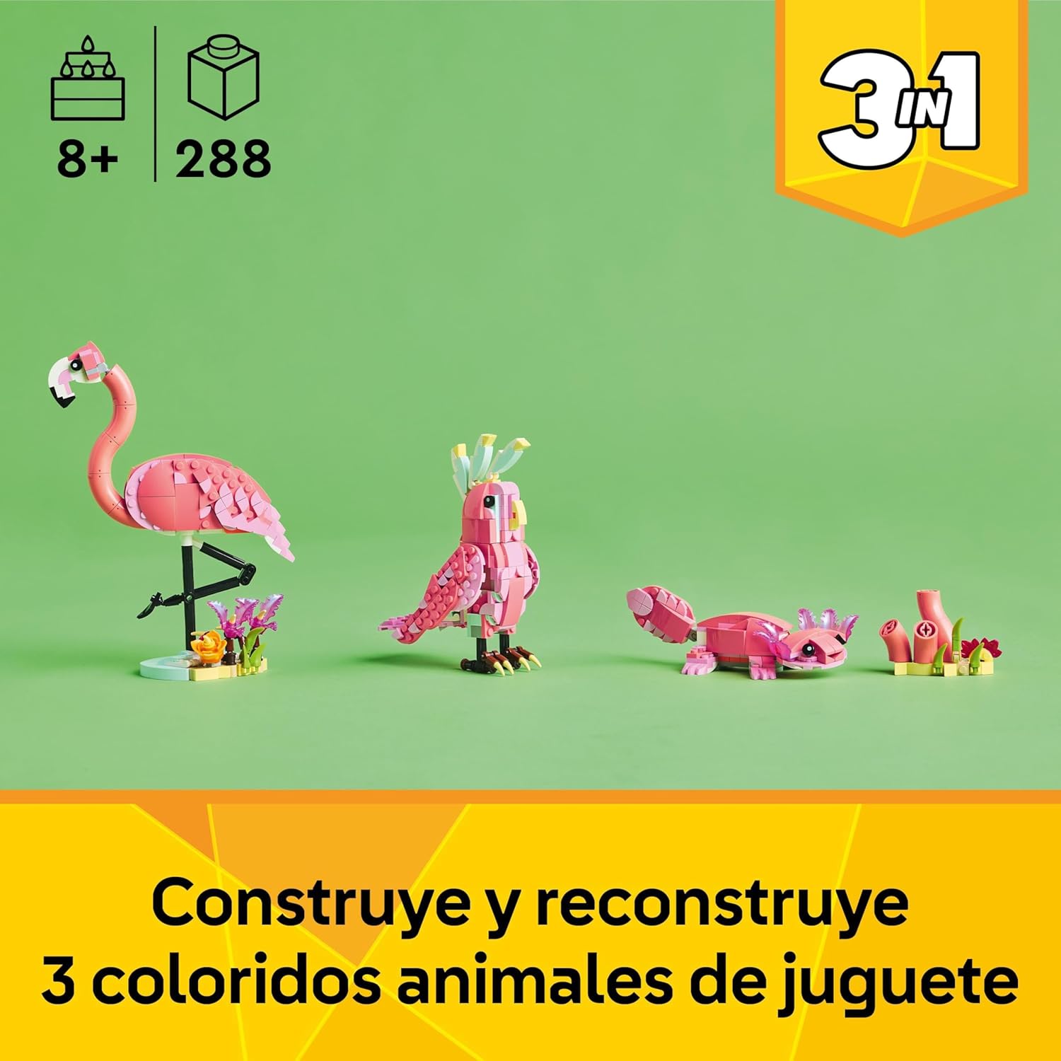 Fauna Salvaje: Flamenco Rosa
