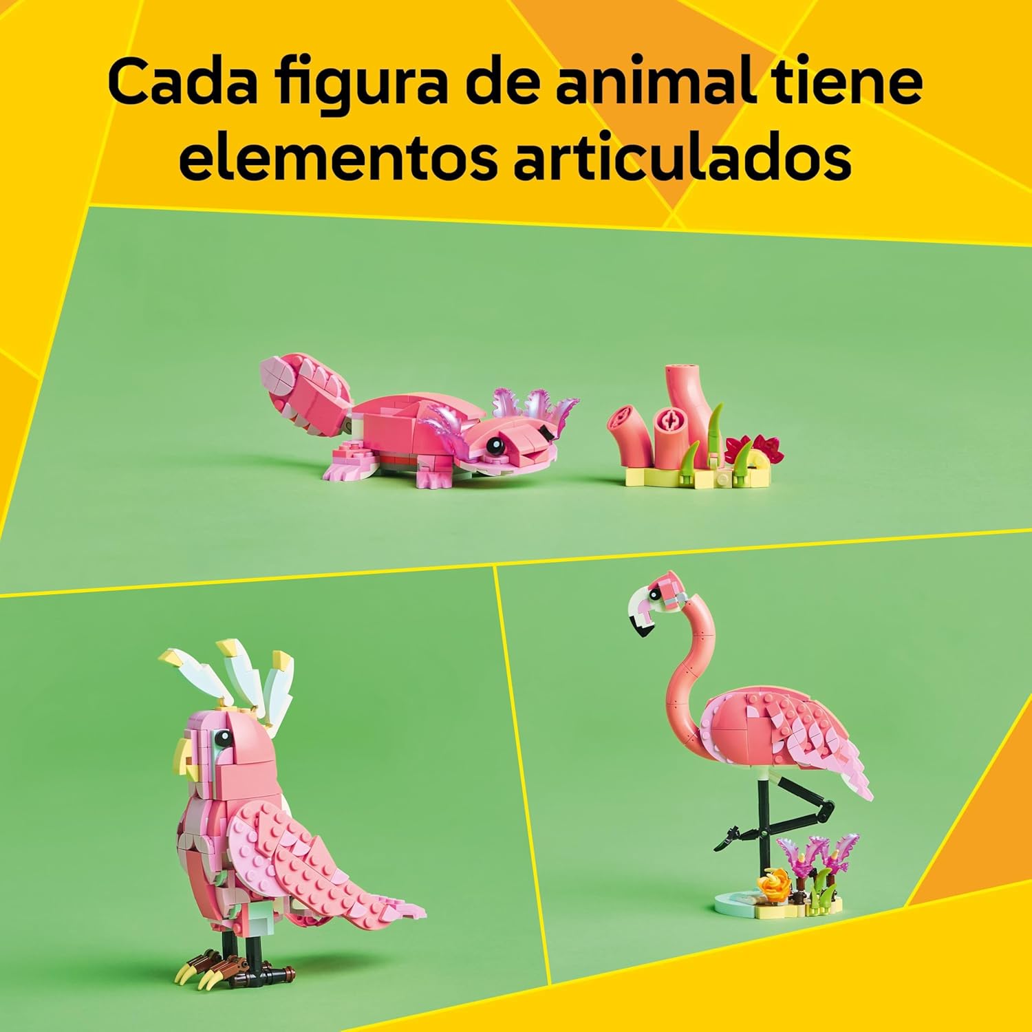 Fauna Salvaje: Flamenco Rosa