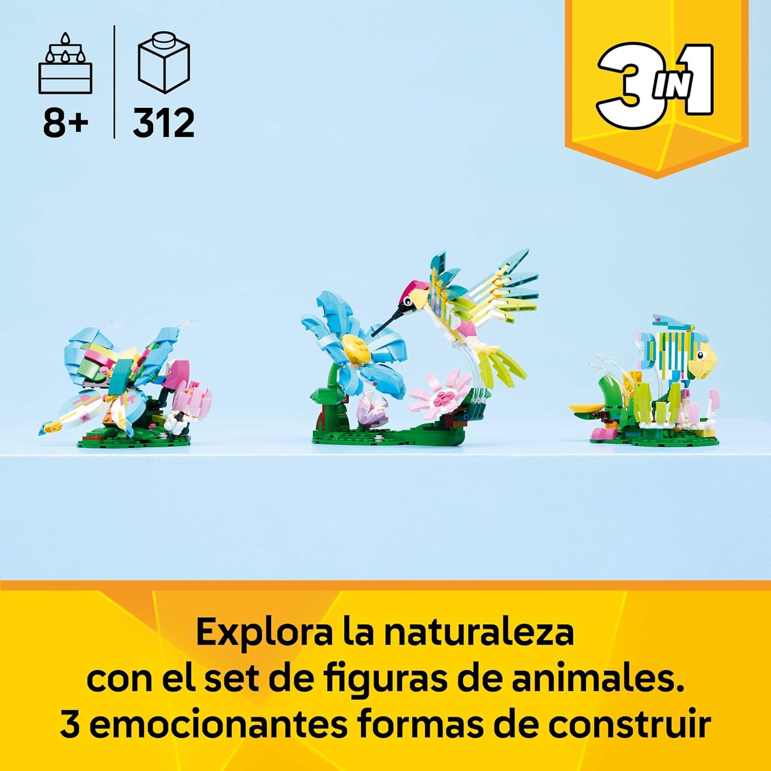 Fauna Salvaje: Colibrí de Colores