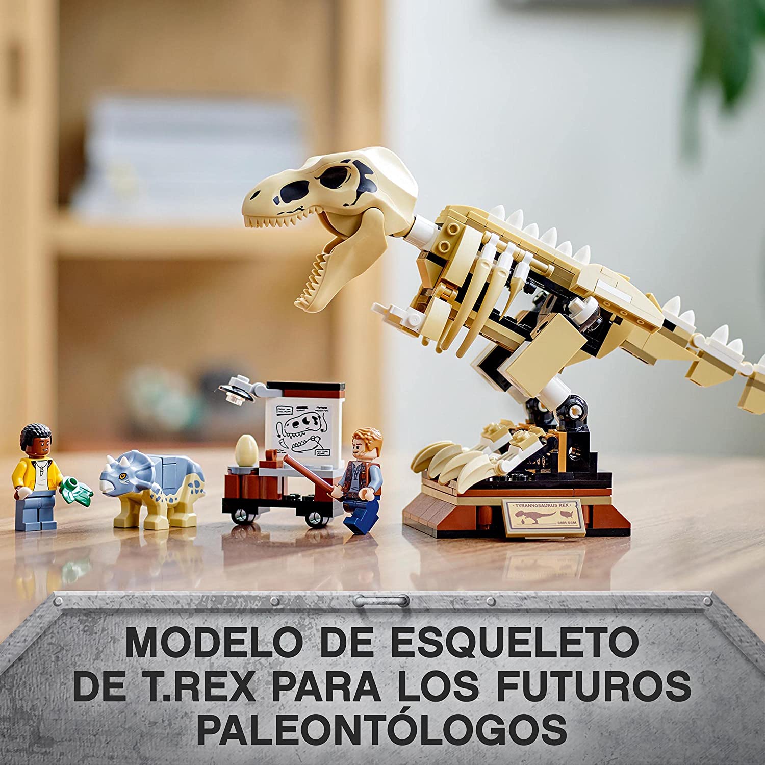 Exposición del Dinosaurio T-Rex Fosilizado