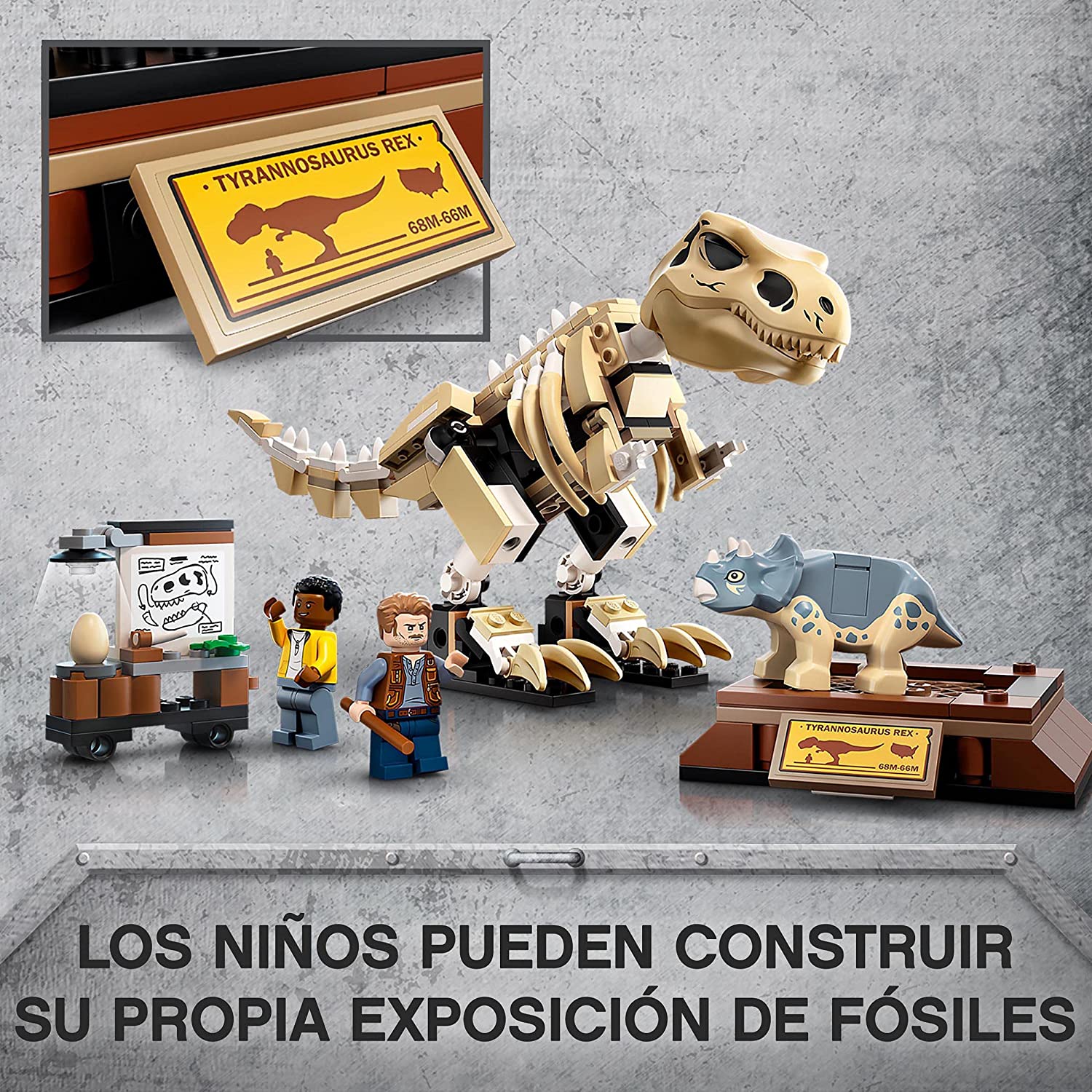 Exposición del Dinosaurio T-Rex Fosilizado