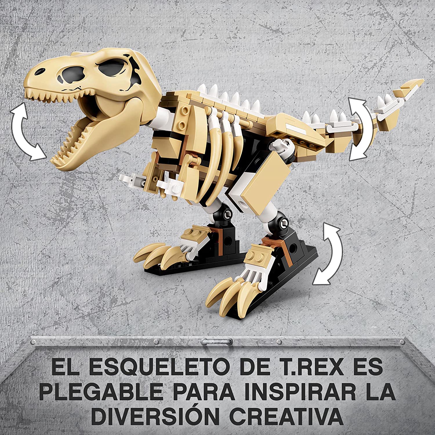 Exposición del Dinosaurio T-Rex Fosilizado