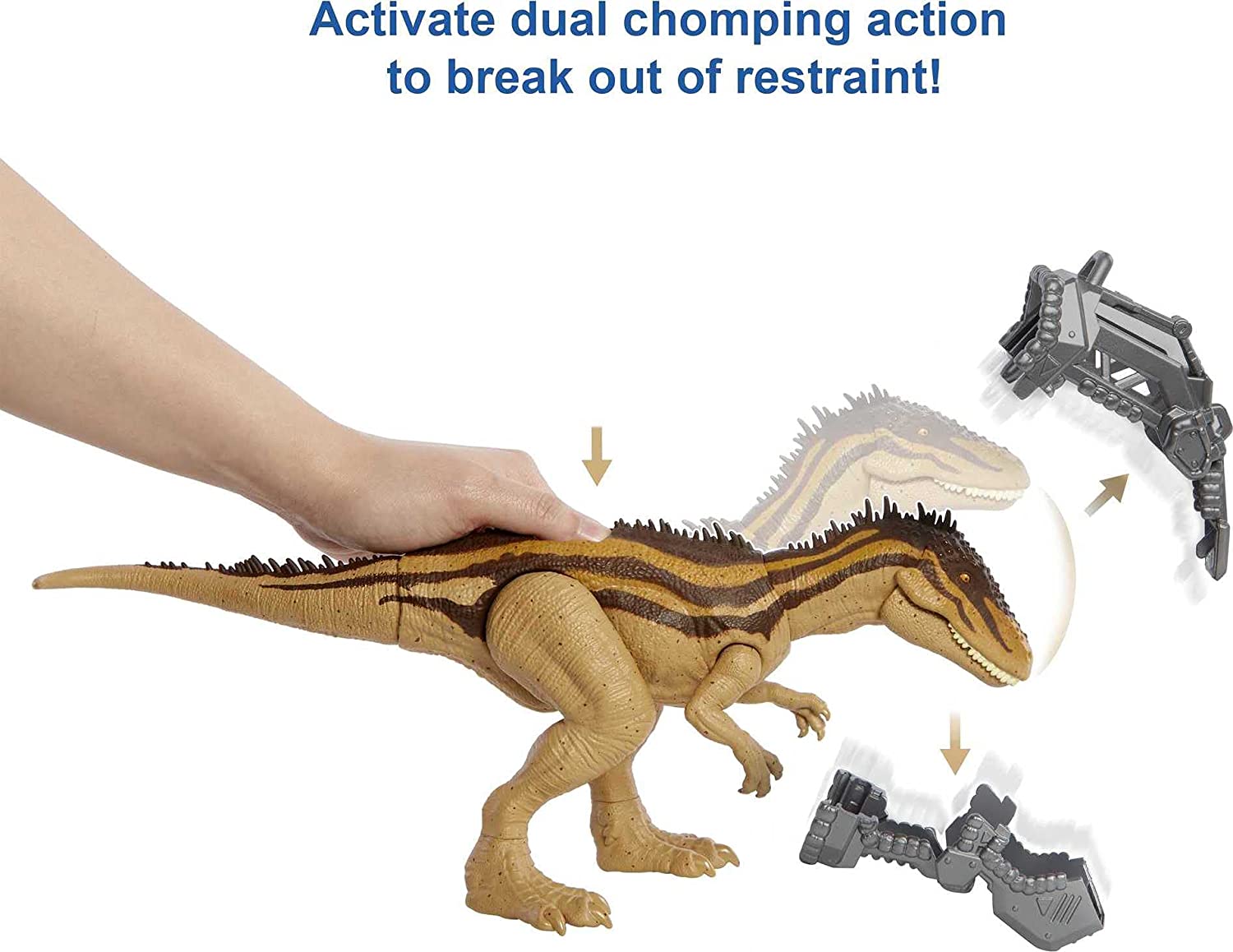 JW Carcharodontosaurus Mega Destroyers