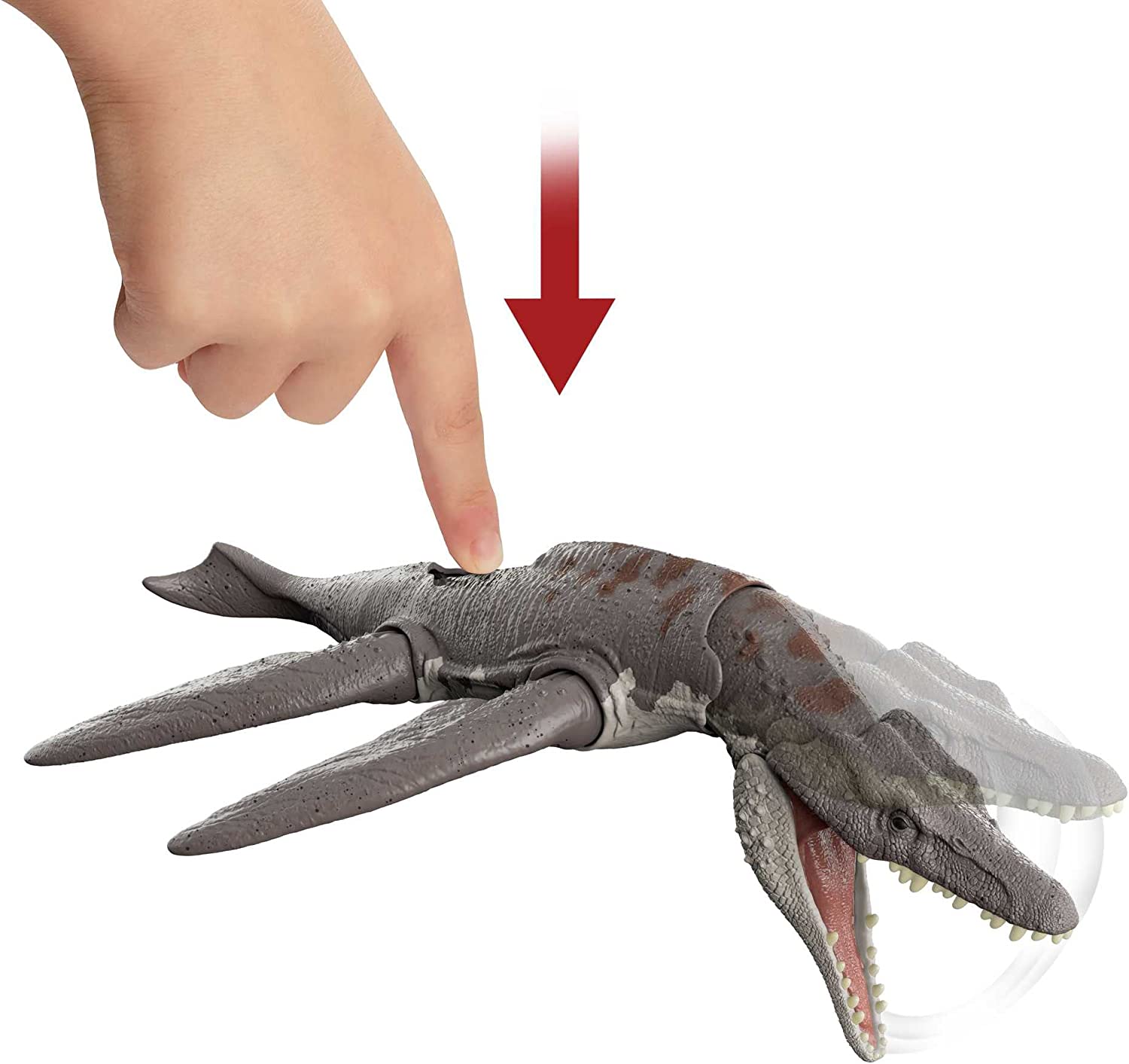 JW3 Liopruelodon ruge y golpea
