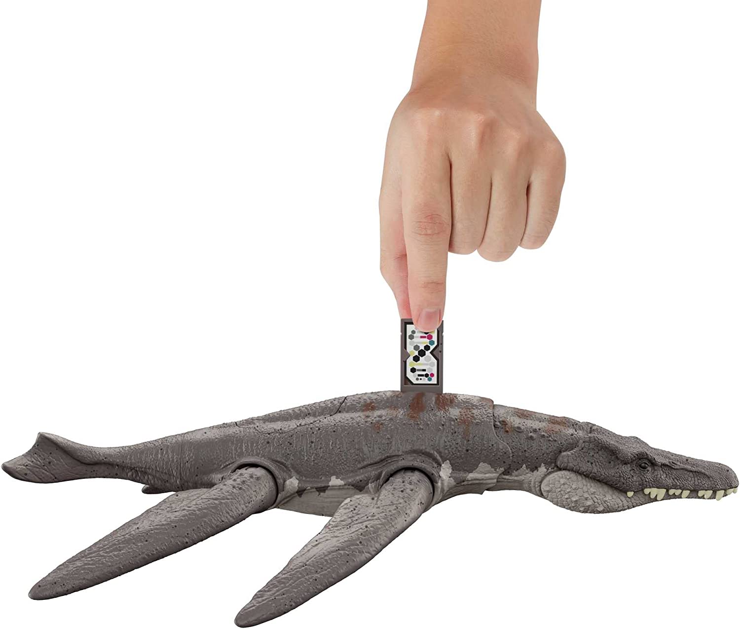JW3 Liopruelodon ruge y golpea