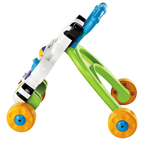 Cebra Primeros Pasos