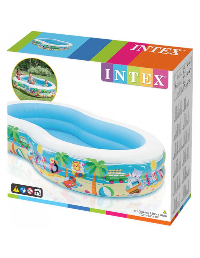 Piscina paradise 262x160x46 700l
