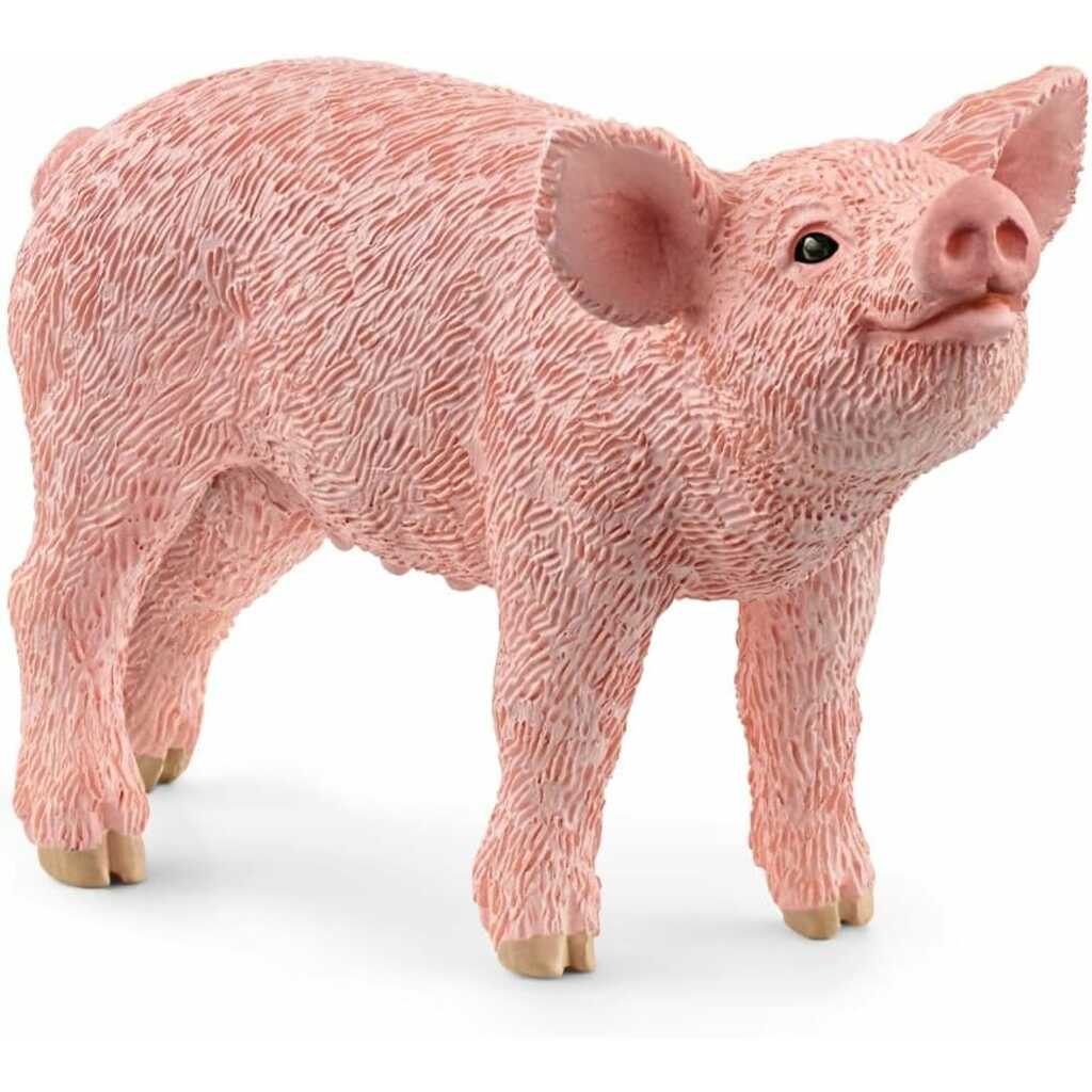 cerdito