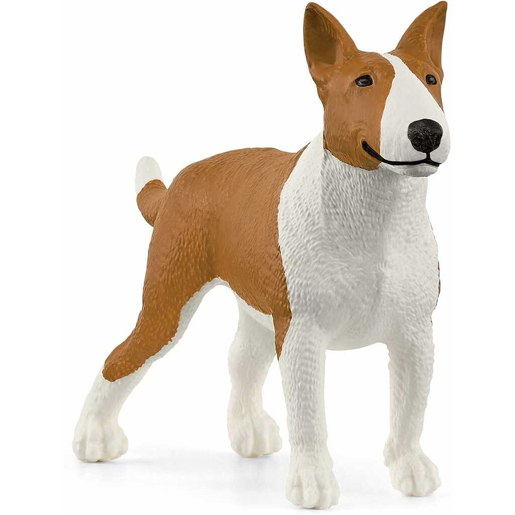 bull terrier