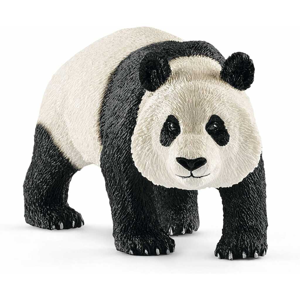 oso panda gigante macho