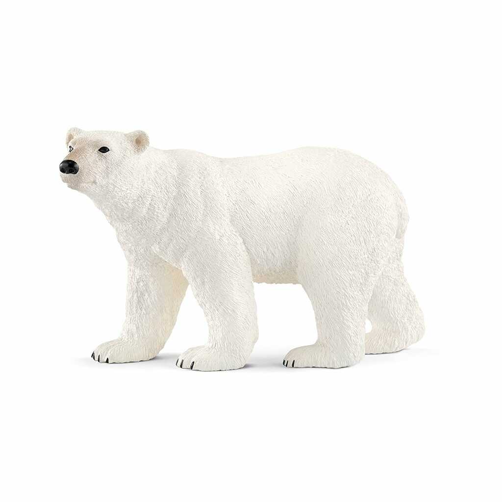 oso polar