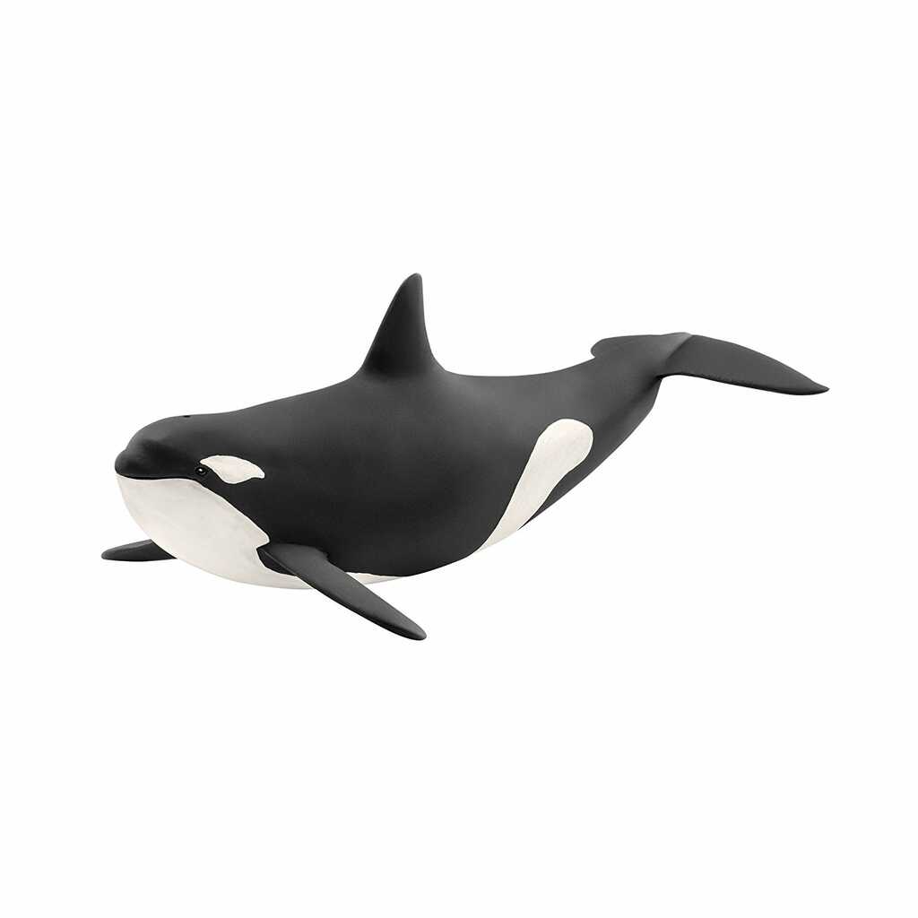 orca