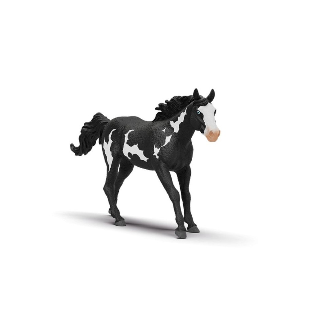 caballo capón paint horse