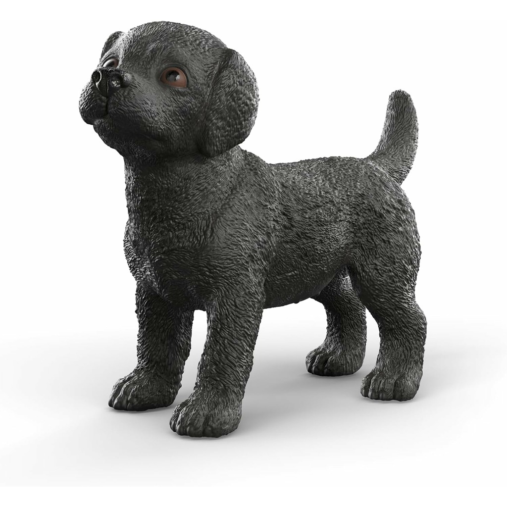 cachorro labrador retriever negro