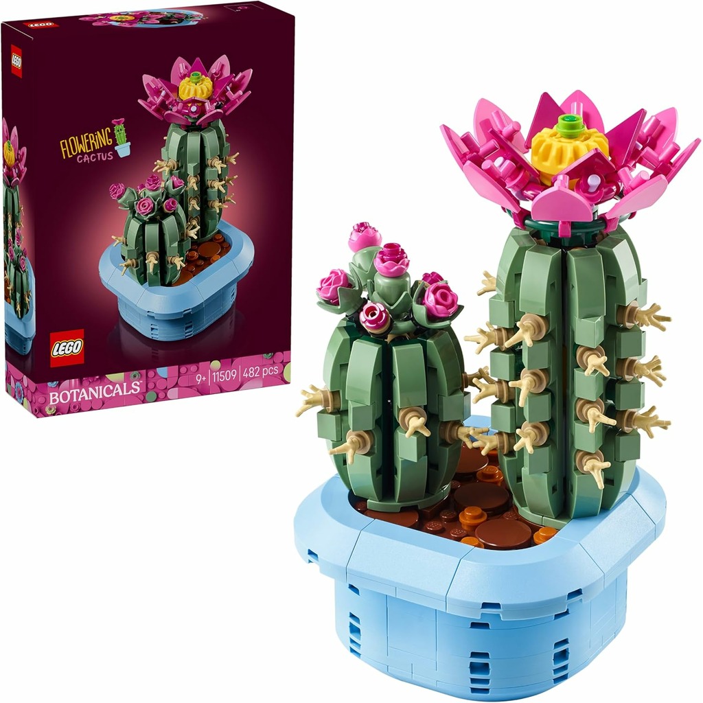 cactus en flor