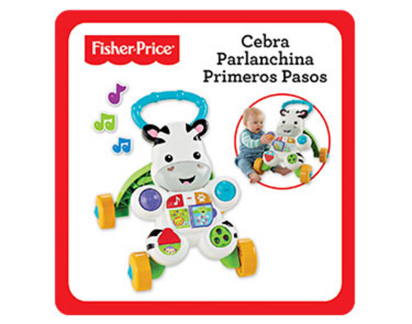 cebra primeros pasos