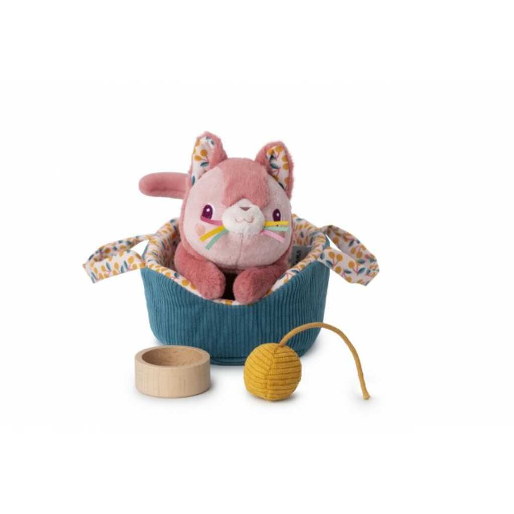 jeanne el gato y su cesta