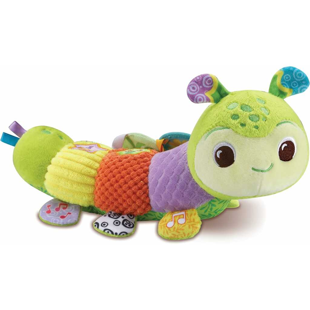 colores y texturas flor la oruga