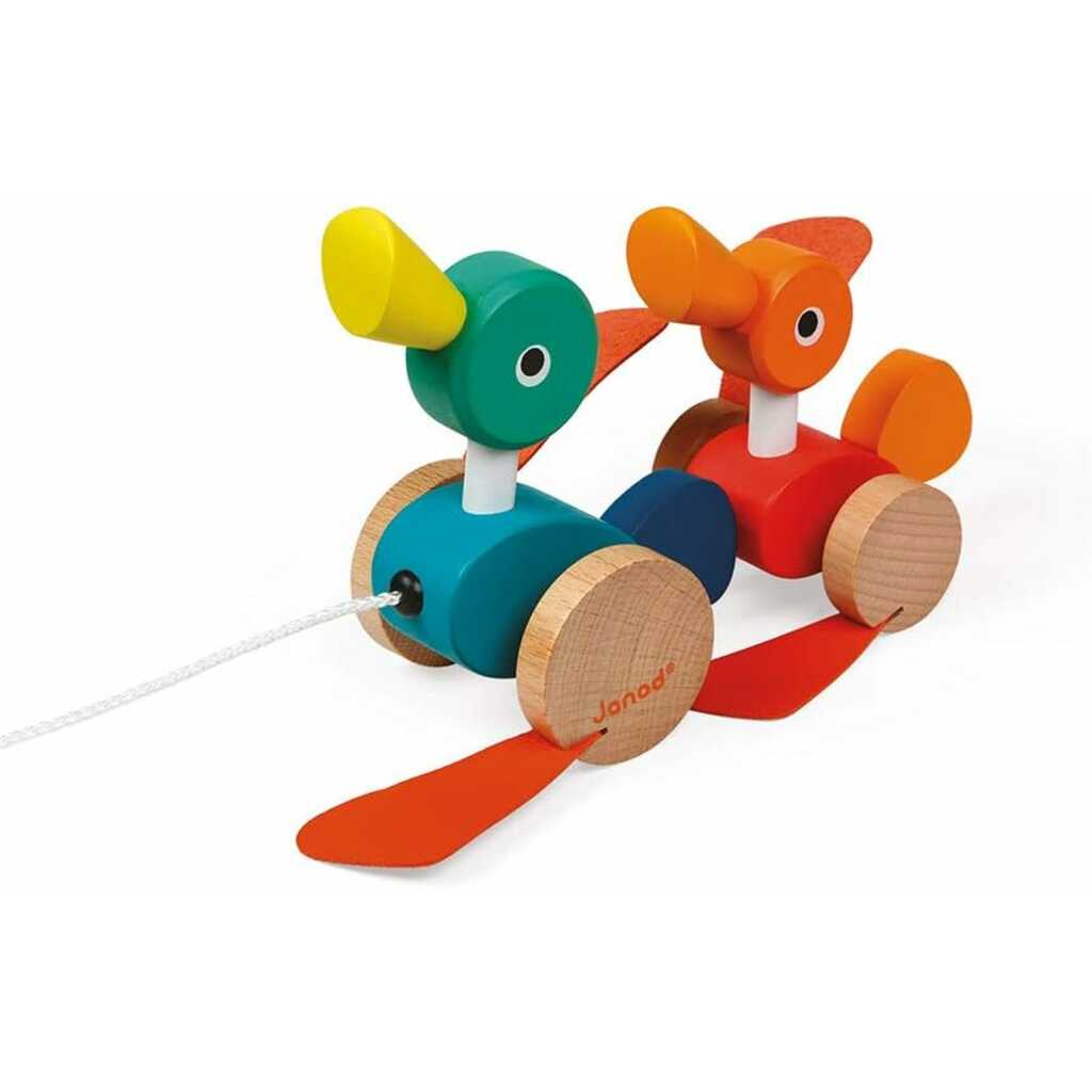 patos para pasear - zigolos