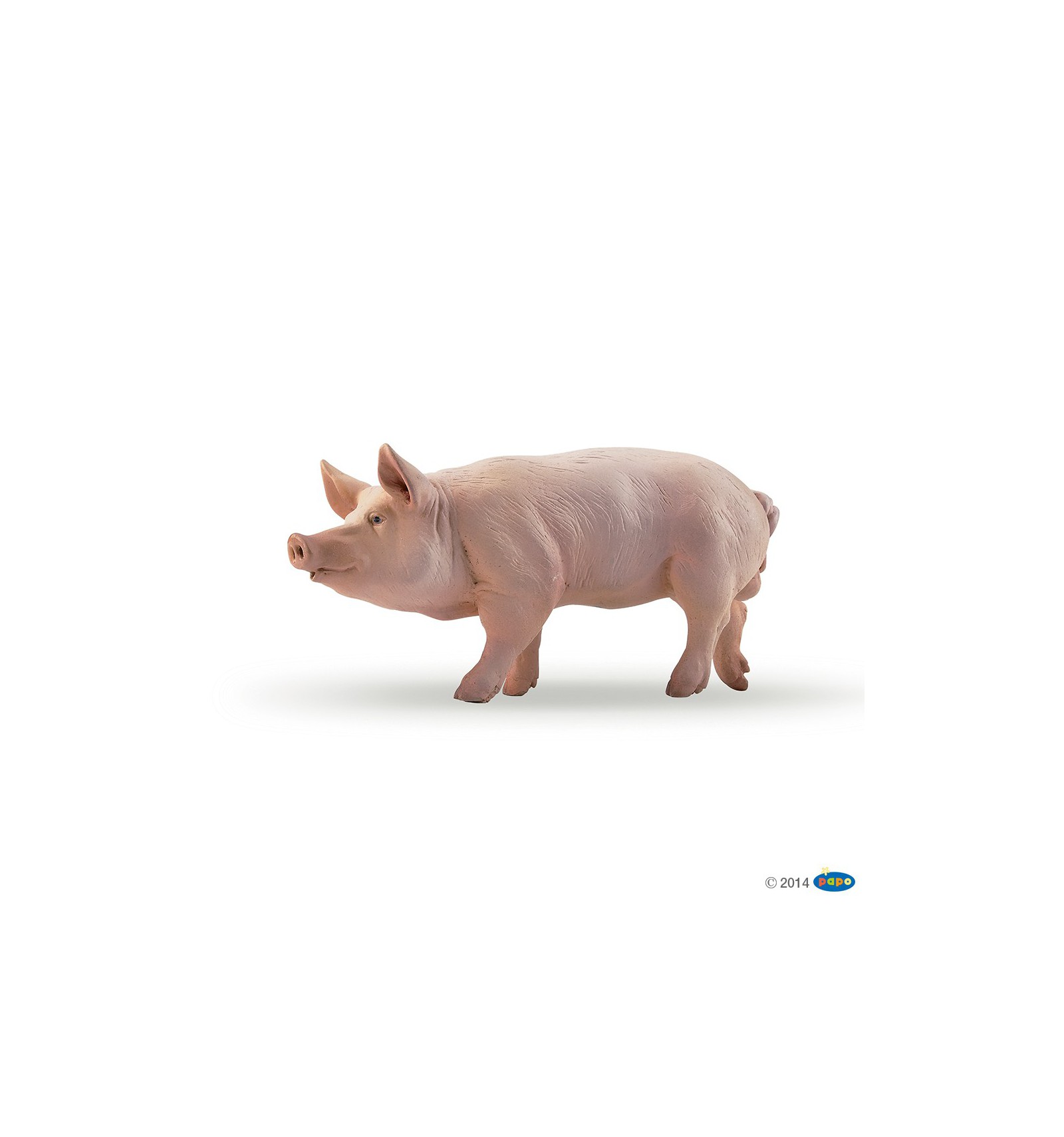 PORC