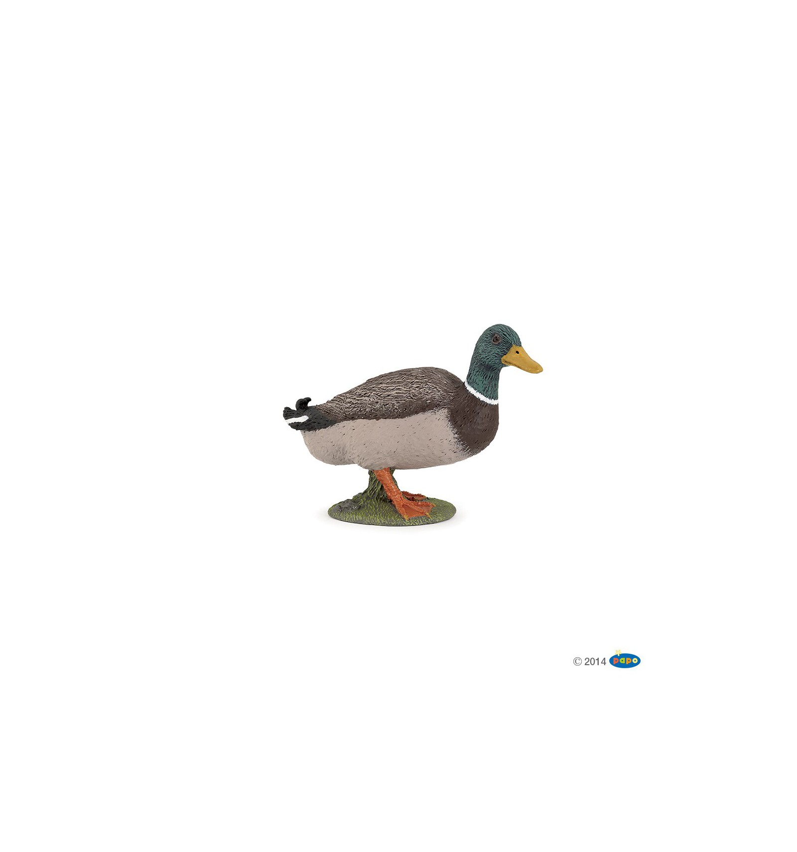 ÀNEC COLVERT