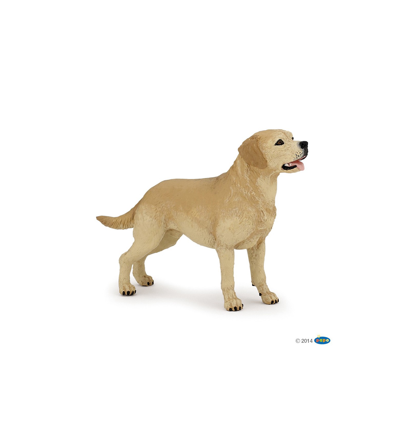 LABRADOR