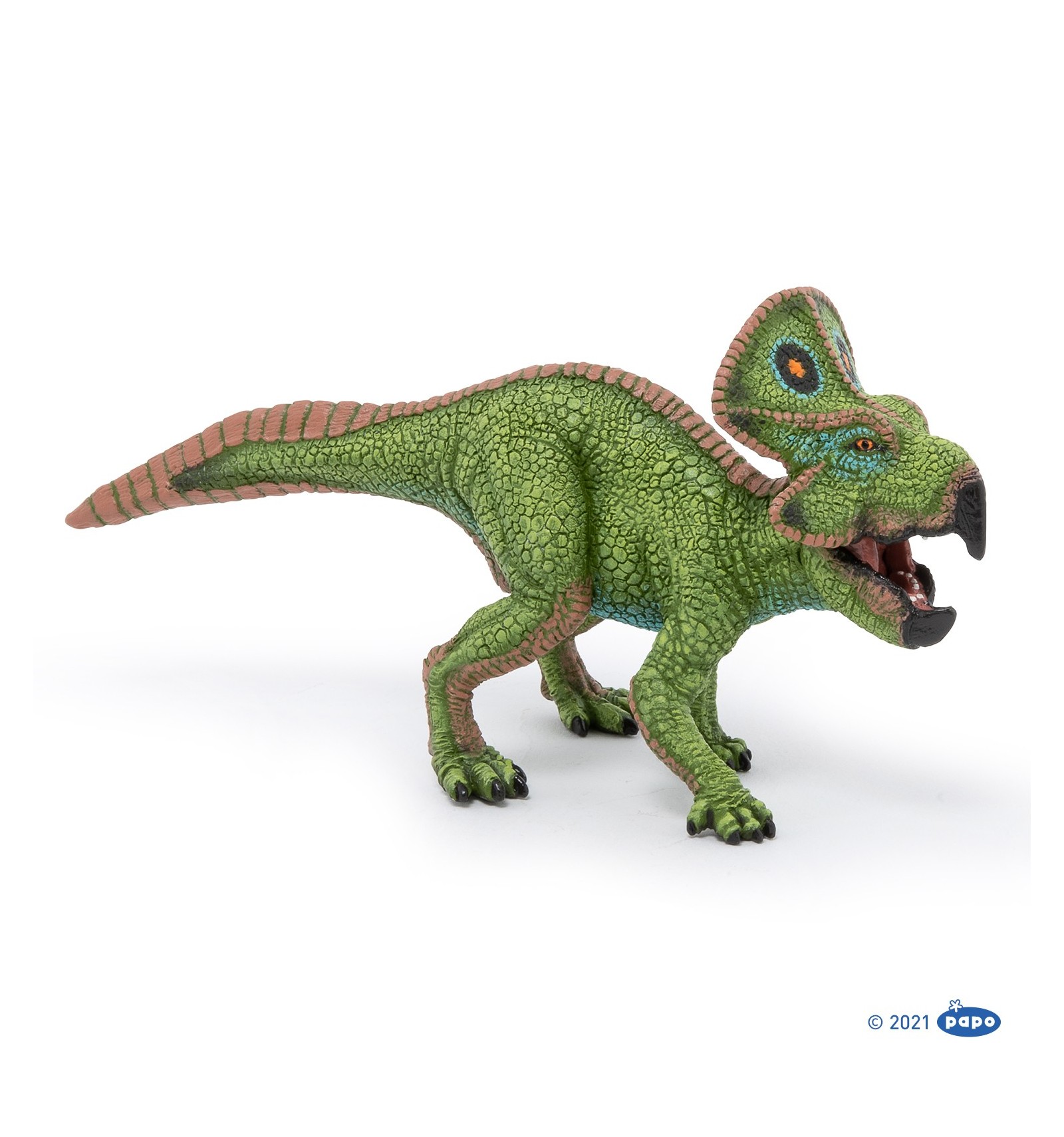 PROTOCERATOPS