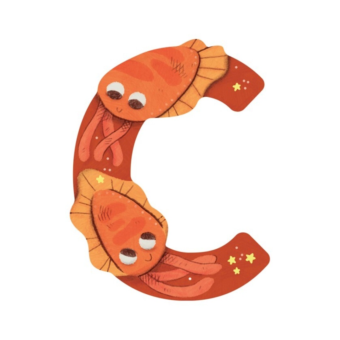 LLETRA FUSTA C