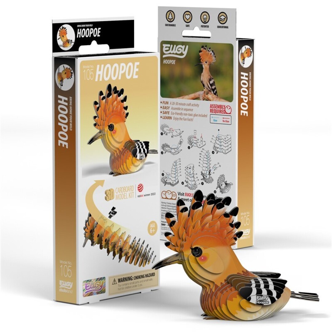 EUGY HOOPOE
