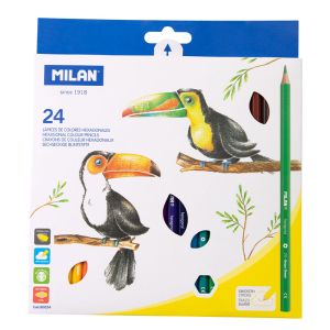 24 LLAPIS DE COLORS