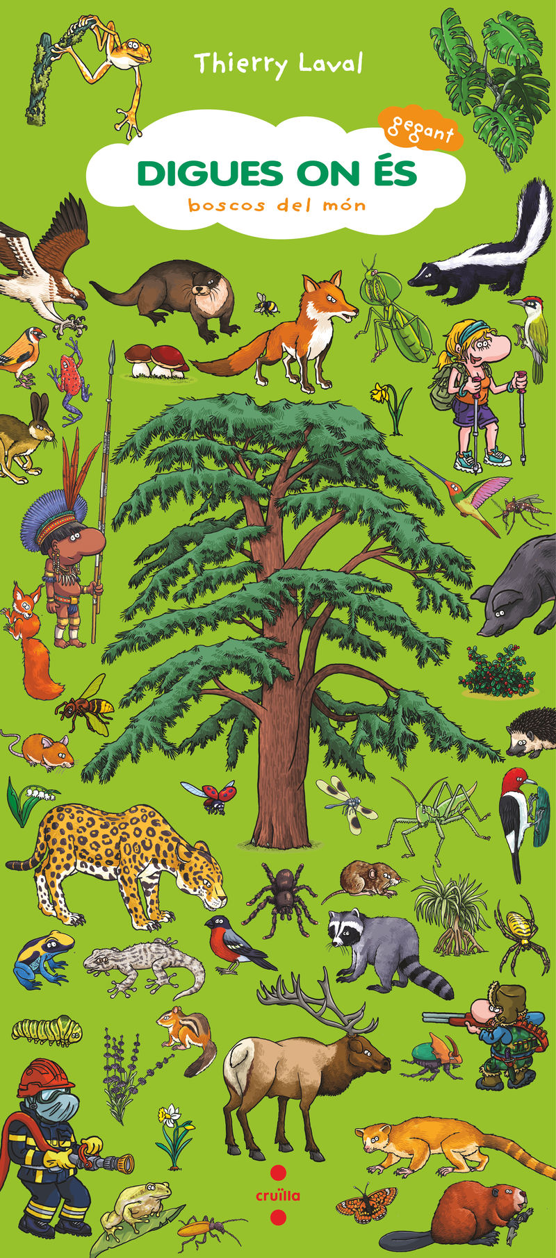 DIGUES ON ÉS, BOSCOS DEL MÓN