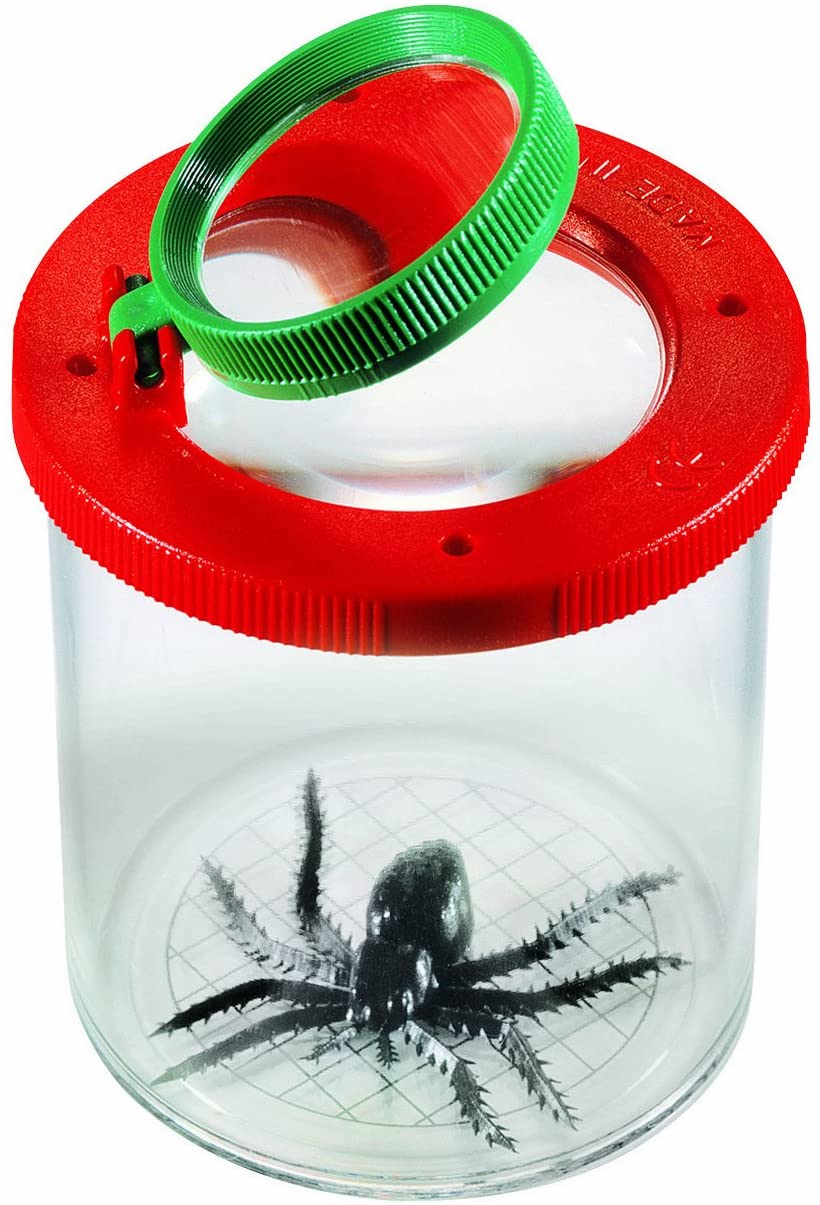 LUPA RECOGE INSECTOS