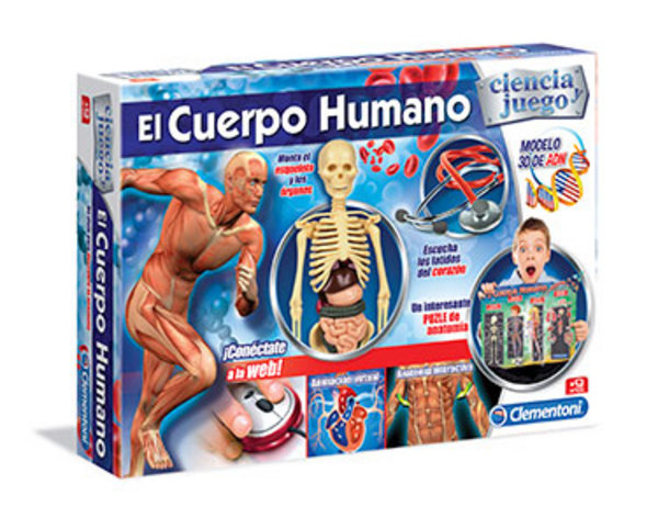 EL CUERPO HUMANO
