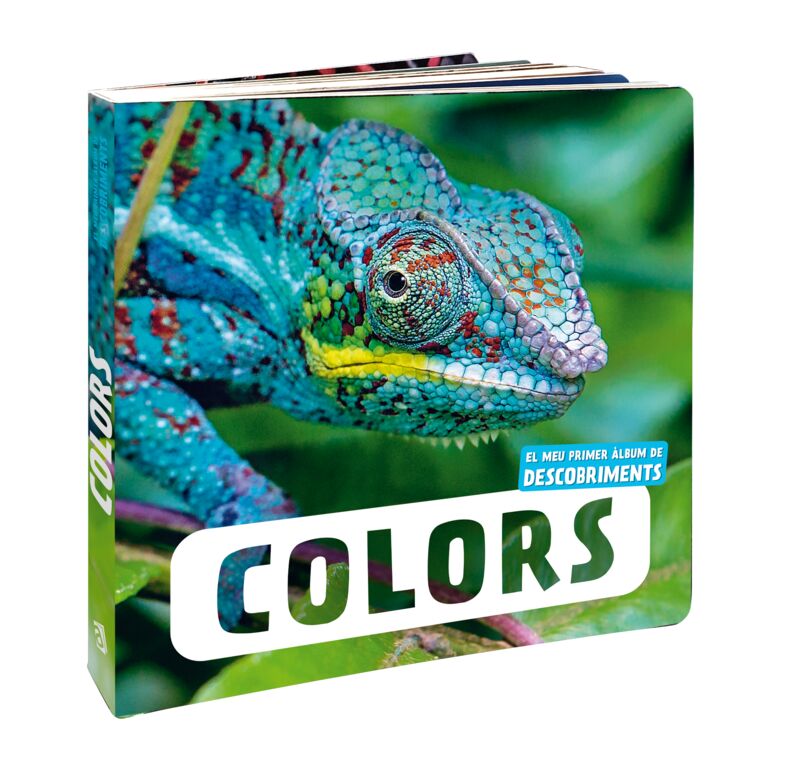COLORS