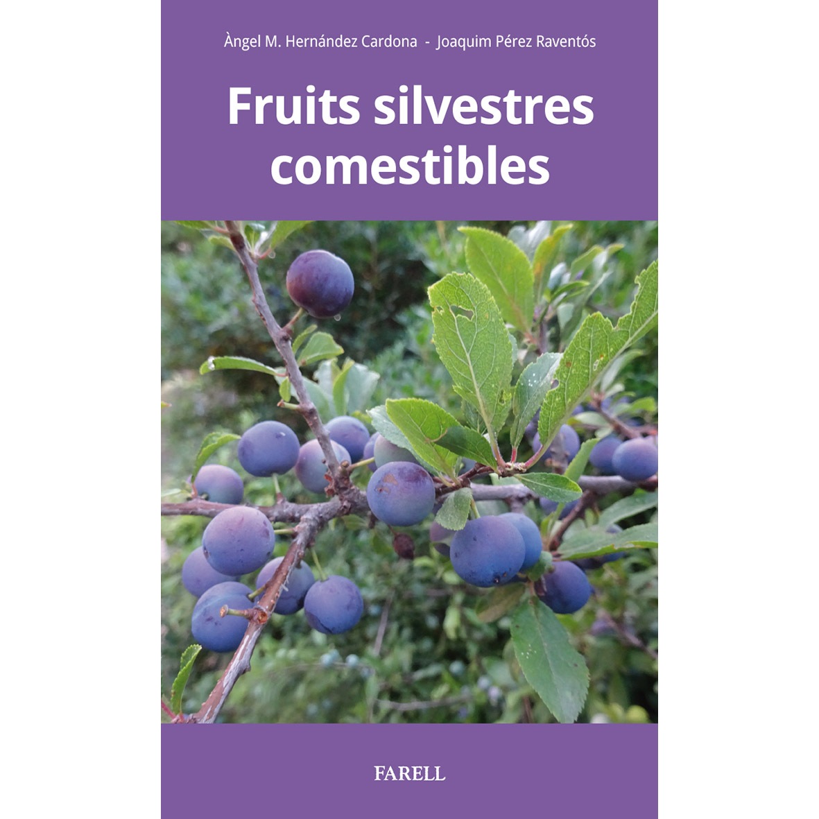FRUITS SILVESTRES COMESTIBLES