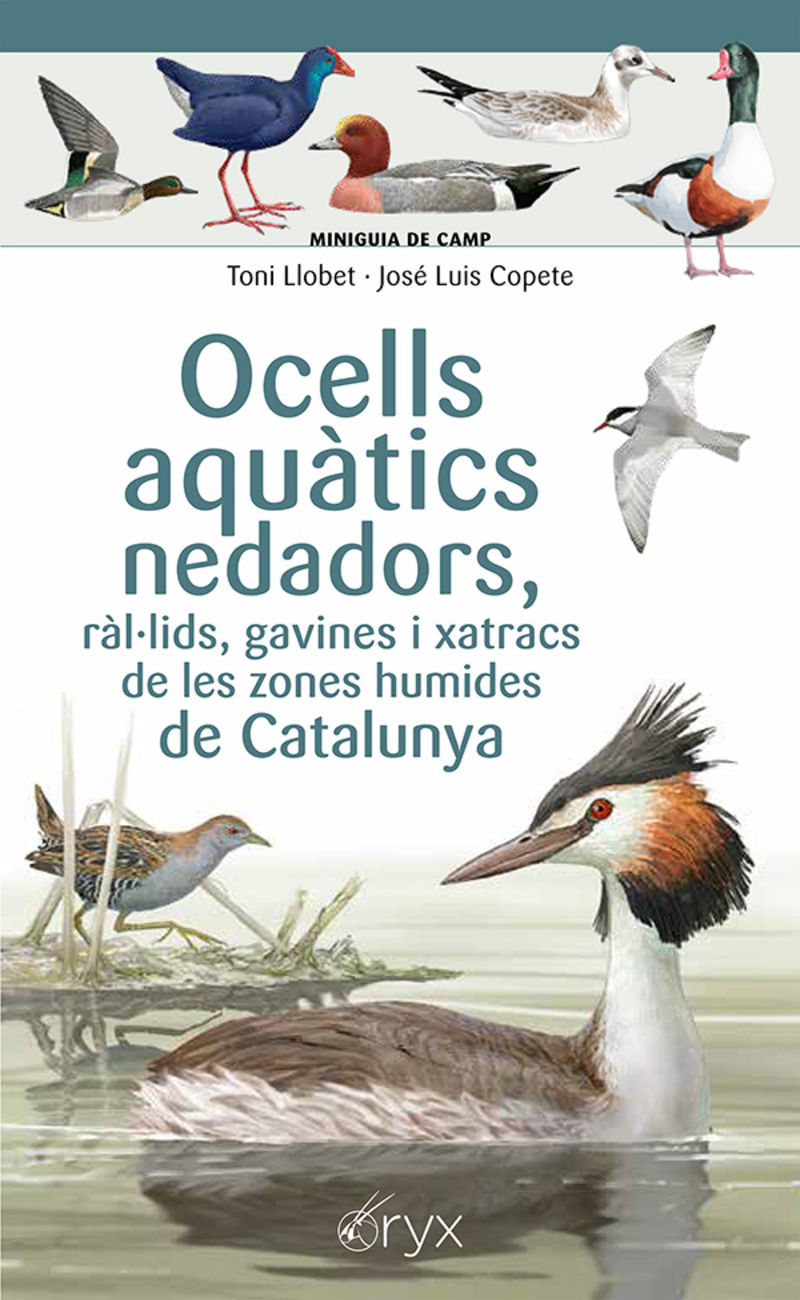 OCELLS AQUÀTICS NEDADORS
