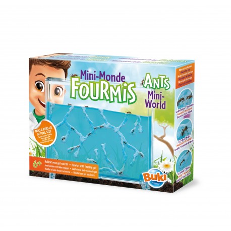 MINI MUNDO DE LAS HORMIGAS BUKI