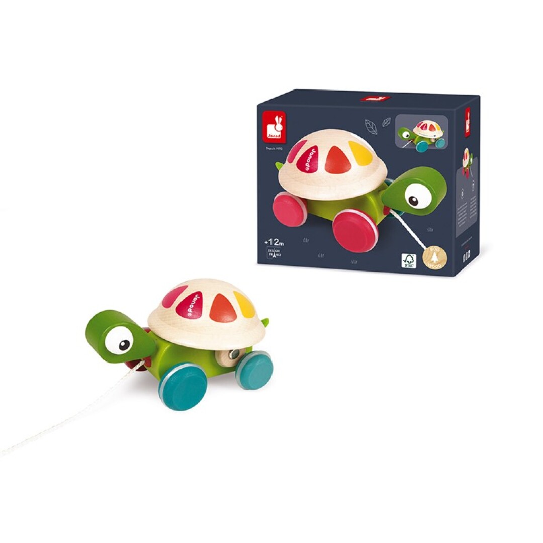 TORTUGA SONAJERO DE ARRASTRE ZIGOLOS