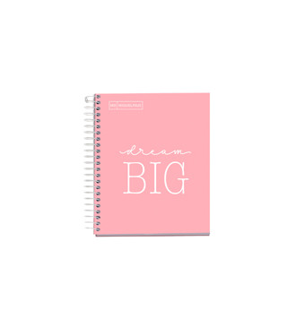 LLIBRETA A6 MISSATGE ROSA MIQUELRIUS